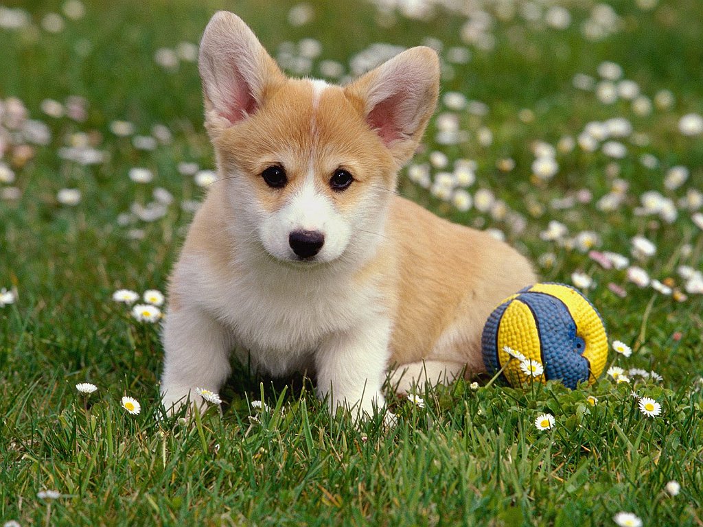 Play Time_
